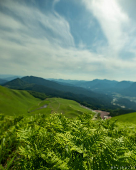 曽爾高原